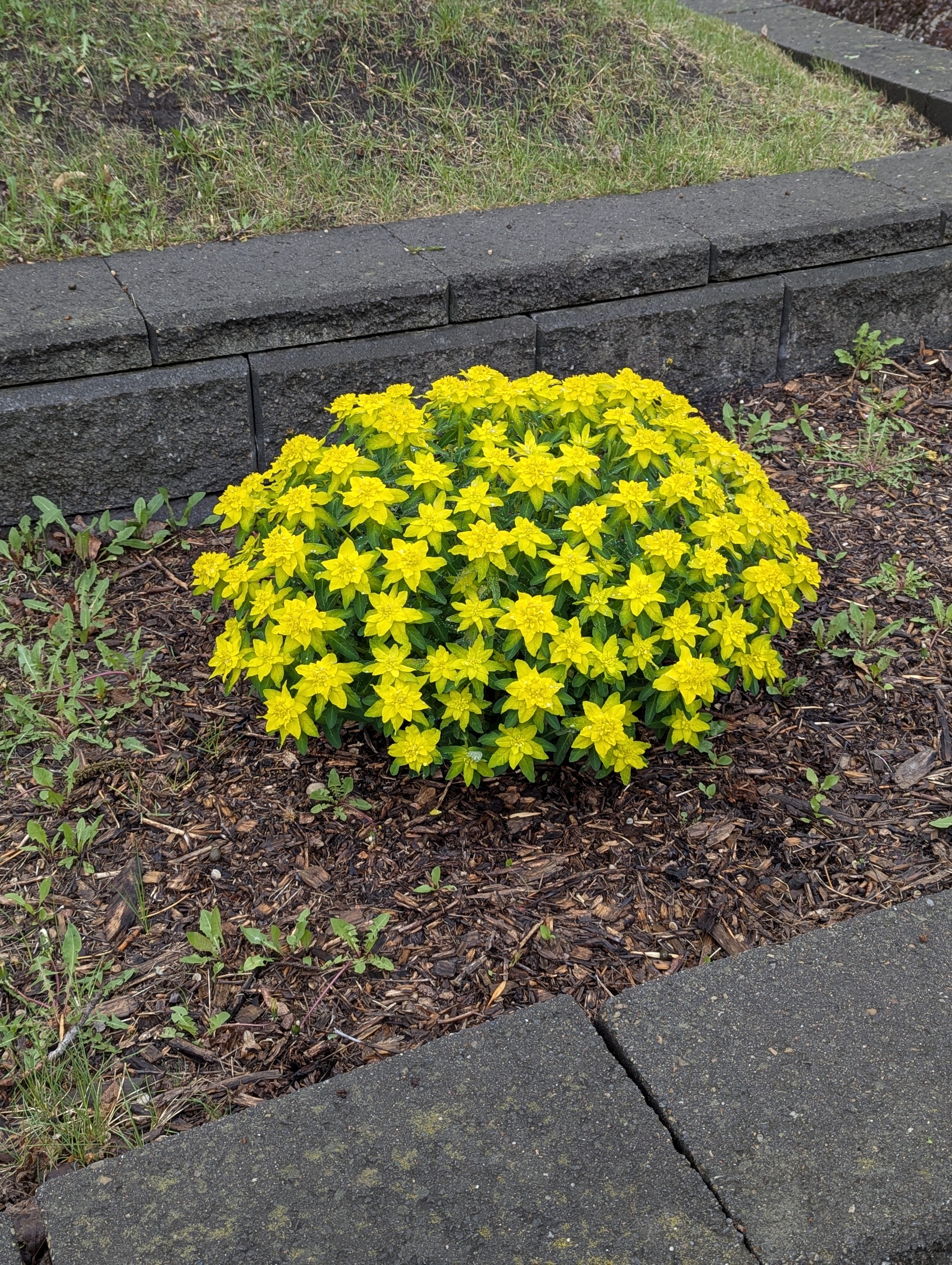 Birthday Trip to Canada, University of Alberta